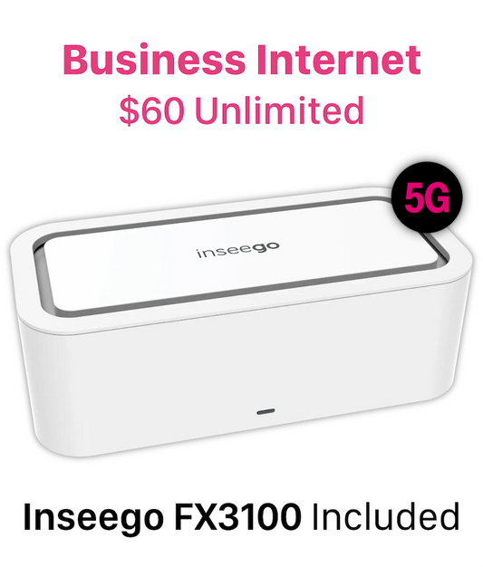 BUSINESS INTERNET - FX3100